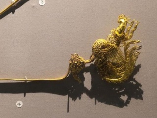 注册入口_新光小学参加第14届中国少年科学院“小院士”课题答辩活动喜获佳绩