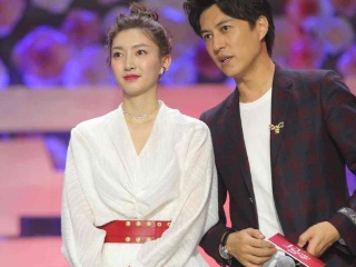 鹰潭网站SEO关键词优化外包公司-马伊琍文章离婚2019最新消息 马伊琍文章结婚多少年两人感情回顾“注册入口”(图2) 注册入口